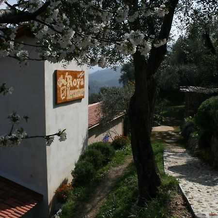 Gite Roya Mercantour Breil-sur-Roya Esterno foto