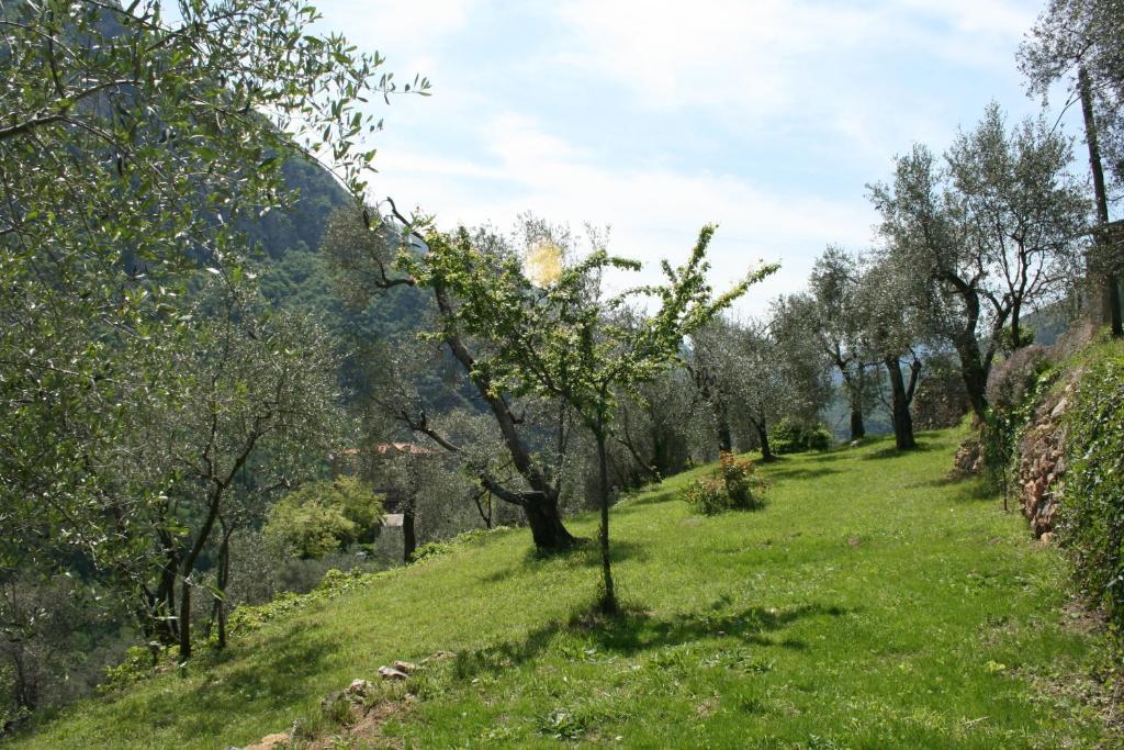 Gite Roya Mercantour Breil-sur-Roya Esterno foto